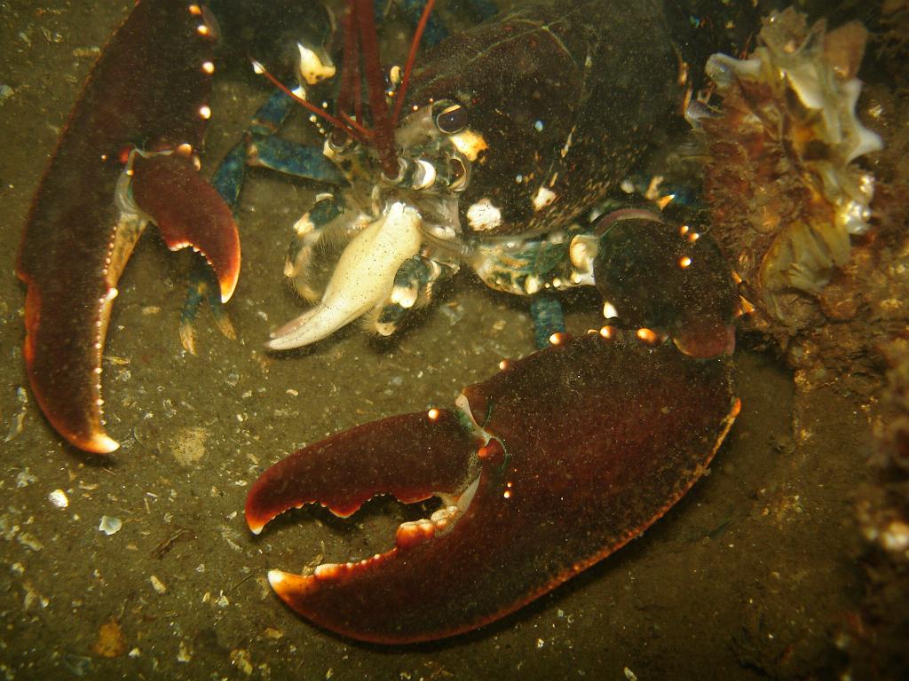 2008-06-28 12-20-39 H.JPG